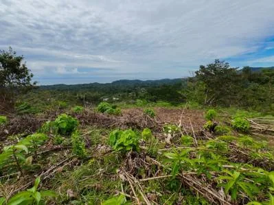 RESIDENCE WITH ADDITIONAL LAND: A UNIQUE OPPORTUNITY, IN OJOCHAL – 1.45 ACRES, photo 26