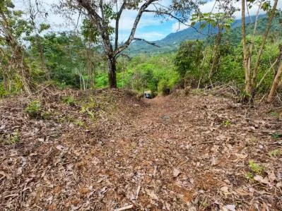 RESIDENCE WITH ADDITIONAL LAND: A UNIQUE OPPORTUNITY, IN OJOCHAL – 1.45 ACRES, photo 28