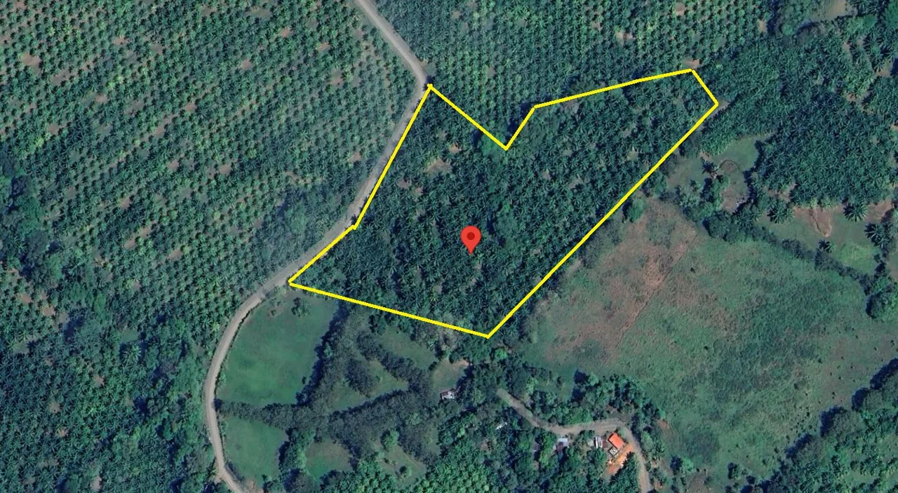 Farm for the development of a self-sustaining community., photo 7