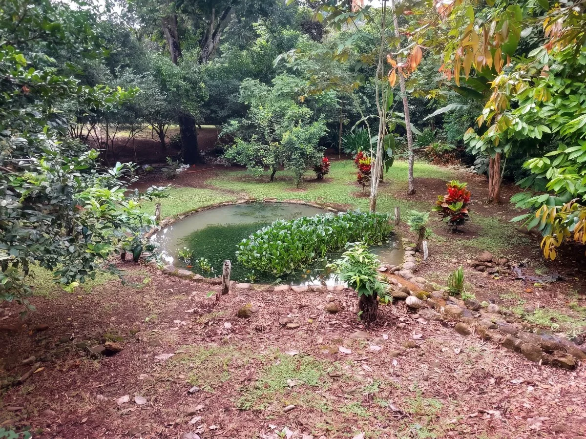 SE VENDE TERRENO LISTO PARA CONSTRUIR CON AGUA PROPIA Y EXCELENTE UBICACION - Venta en Daniel Flores, photo 2