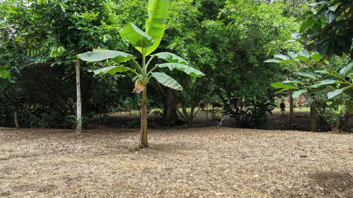 SE VENDE TERRENO LISTO PARA CONSTRUIR CON AGUA PROPIA Y EXCELENTE UBICACION - Venta en Daniel Flores, photo 11