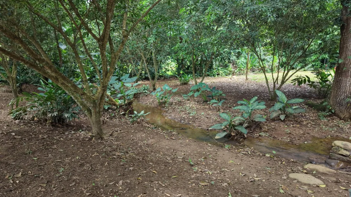 SE VENDE TERRENO LISTO PARA CONSTRUIR CON AGUA PROPIA Y EXCELENTE UBICACION - Venta en Daniel Flores, photo 12