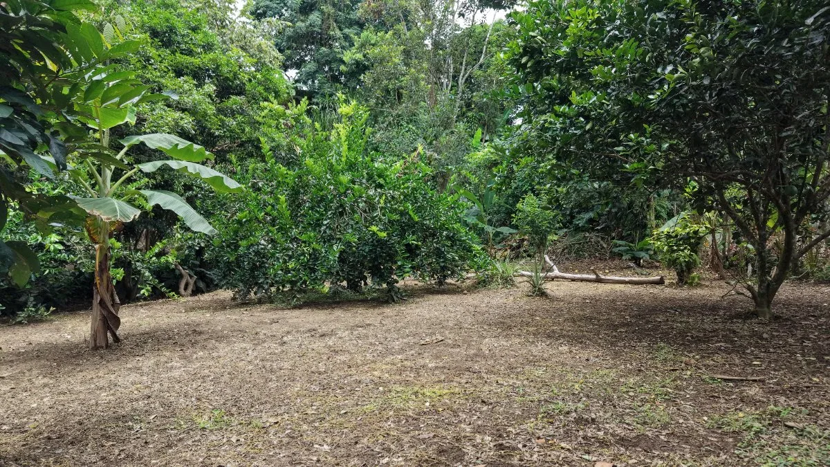 SE VENDE TERRENO LISTO PARA CONSTRUIR CON AGUA PROPIA Y EXCELENTE UBICACION - Venta en Daniel Flores, photo 13