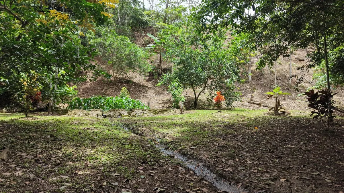 SE VENDE TERRENO LISTO PARA CONSTRUIR CON AGUA PROPIA Y EXCELENTE UBICACION - Venta en Daniel Flores, photo 14