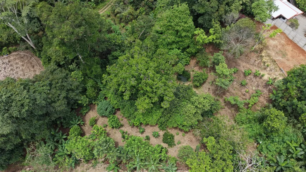 SE VENDE TERRENO LISTO PARA CONSTRUIR CON AGUA PROPIA Y EXCELENTE UBICACION - Venta en Daniel Flores, photo 15