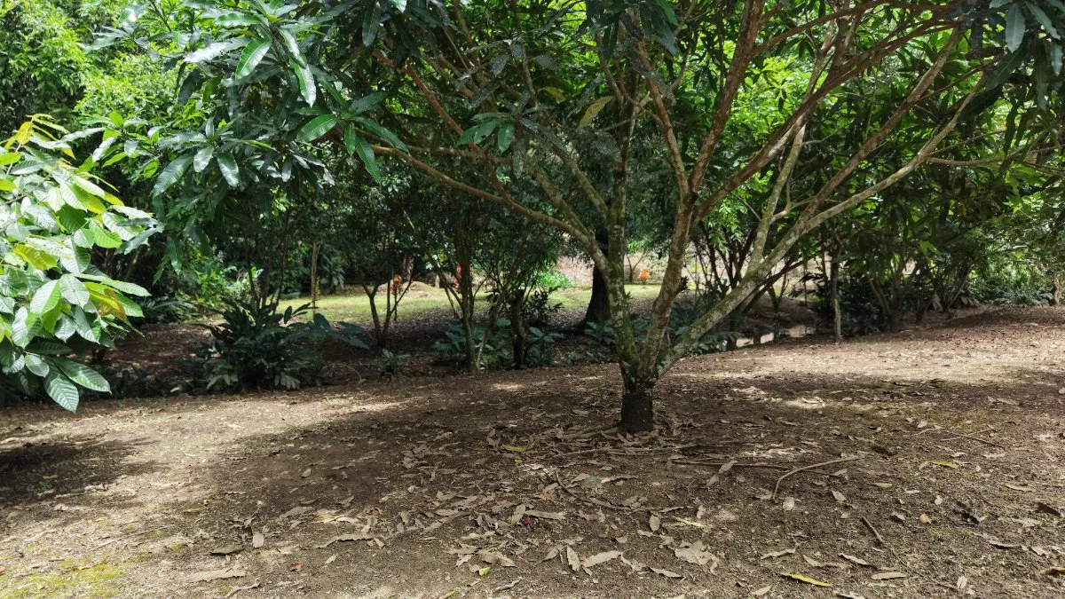 SE VENDE TERRENO LISTO PARA CONSTRUIR CON AGUA PROPIA Y EXCELENTE UBICACION - Venta en Daniel Flores, photo 4