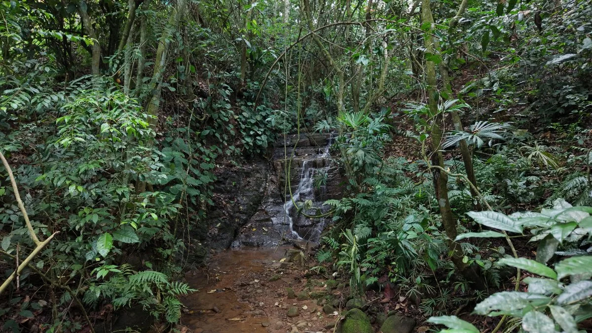 SE VENDE TERRENO LISTO PARA CONSTRUIR CON AGUA PROPIA Y EXCELENTE UBICACION - Venta en Daniel Flores, photo 7