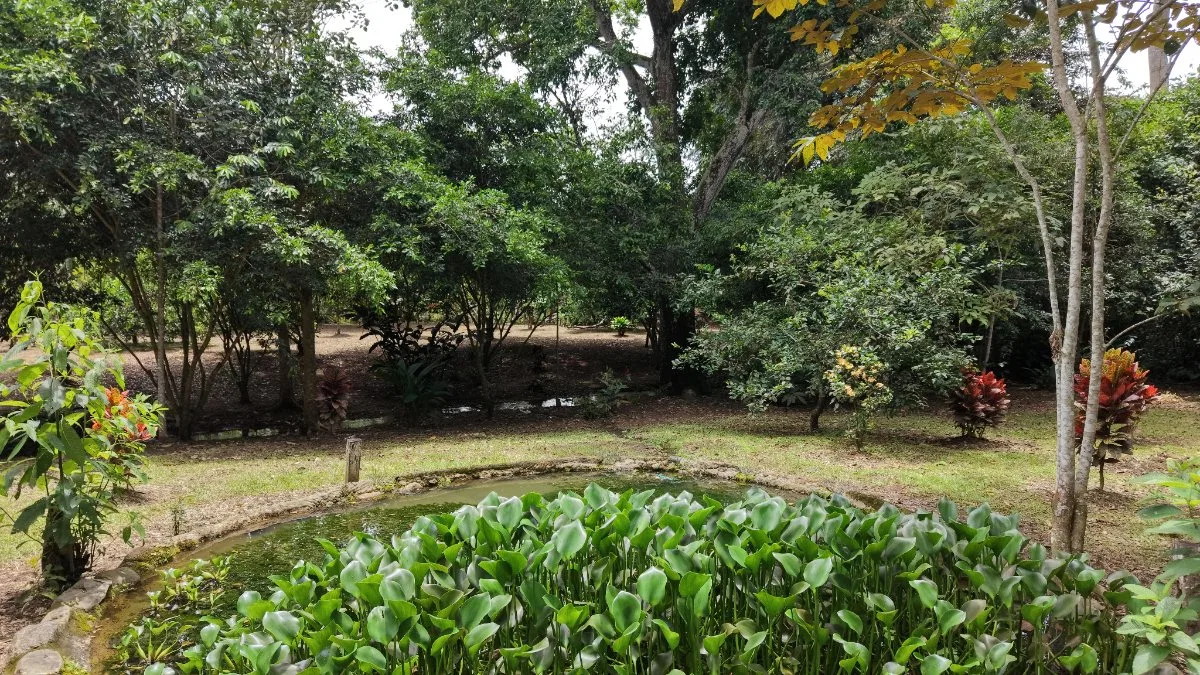 SE VENDE TERRENO LISTO PARA CONSTRUIR CON AGUA PROPIA Y EXCELENTE UBICACION - Venta en Daniel Flores, photo 8