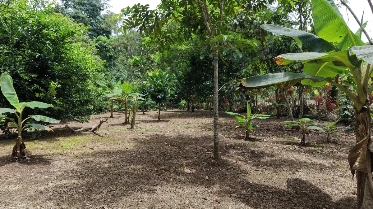 SE VENDE TERRENO LISTO PARA CONSTRUIR CON AGUA PROPIA Y EXCELENTE UBICACION - Venta en Daniel Flores, photo 9