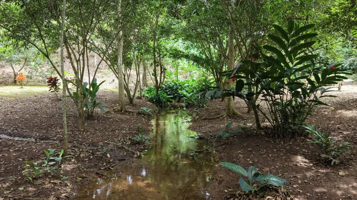 SE VENDE TERRENO LISTO PARA CONSTRUIR CON AGUA PROPIA Y EXCELENTE UBICACION - Venta en Daniel Flores, photo 10