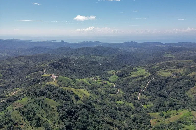 Silent Ridge: 2 Hectares With Ocean View