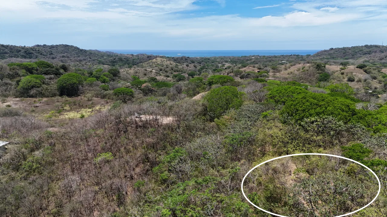 Large Property with Valley and Ocean View in La Encantada Private Community