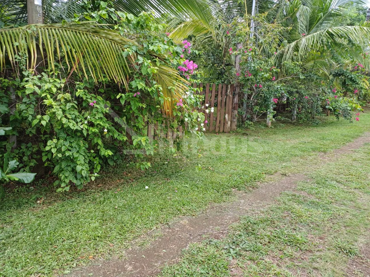 QUINTA EN VENTA EN SAN PEDRO DE LA TIGRA, photo 2