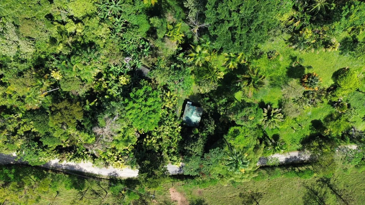 17-Hectare Property with House in Linda Vista, San Vito - REMAX Jungle Properties | Pavones Golfito Real Estate