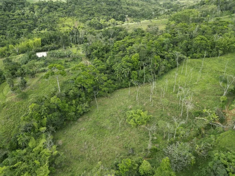38.9 ACRES – Beautiful Farm W Tons Of Usable Land, Great For Retreats Or Yoga W River Bordering, 6 Springs & 2 Caretaker Cabins!!!: Riverfront, Mountain and Countryside Development Parcel For Sale in San Isidro del General