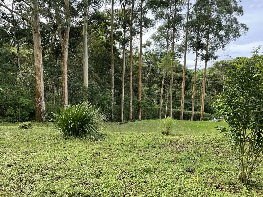 Residential Lot for Sale – San Ramón de Tres Ríos (CT)