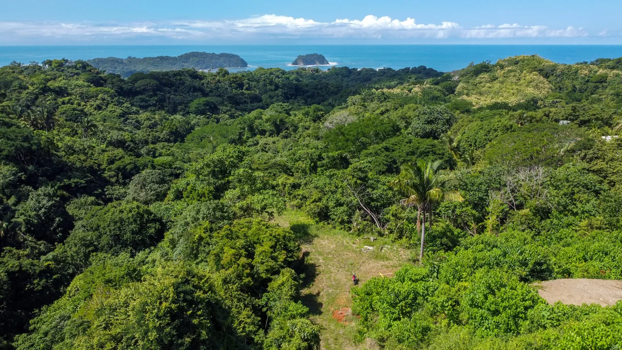 Lotes Santo Domingo - Stunning Ocean View Jungle Lots starting at $140,000, photo 2