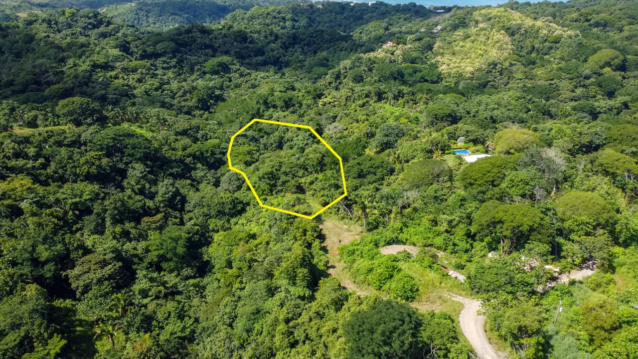 Lotes Santo Domingo - Stunning Ocean View Jungle Lots starting at $140,000, photo 3