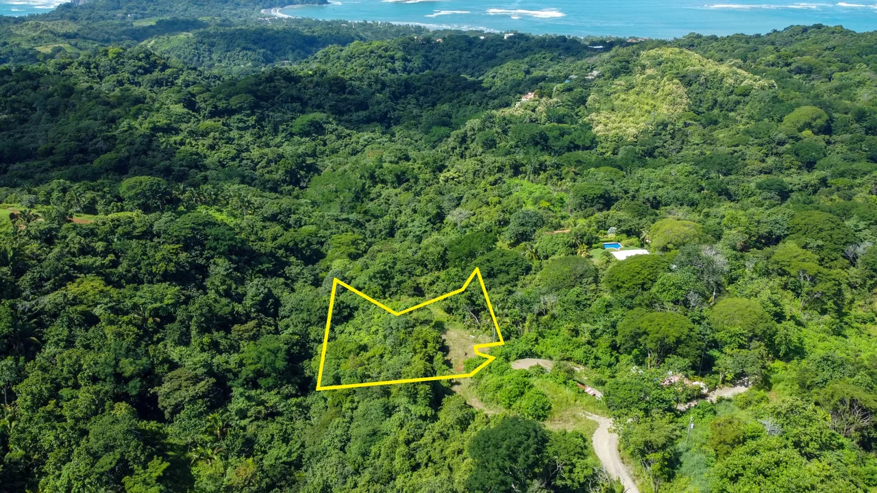 Lotes Santo Domingo - Stunning Ocean View Jungle Lots starting at $140,000, photo 4