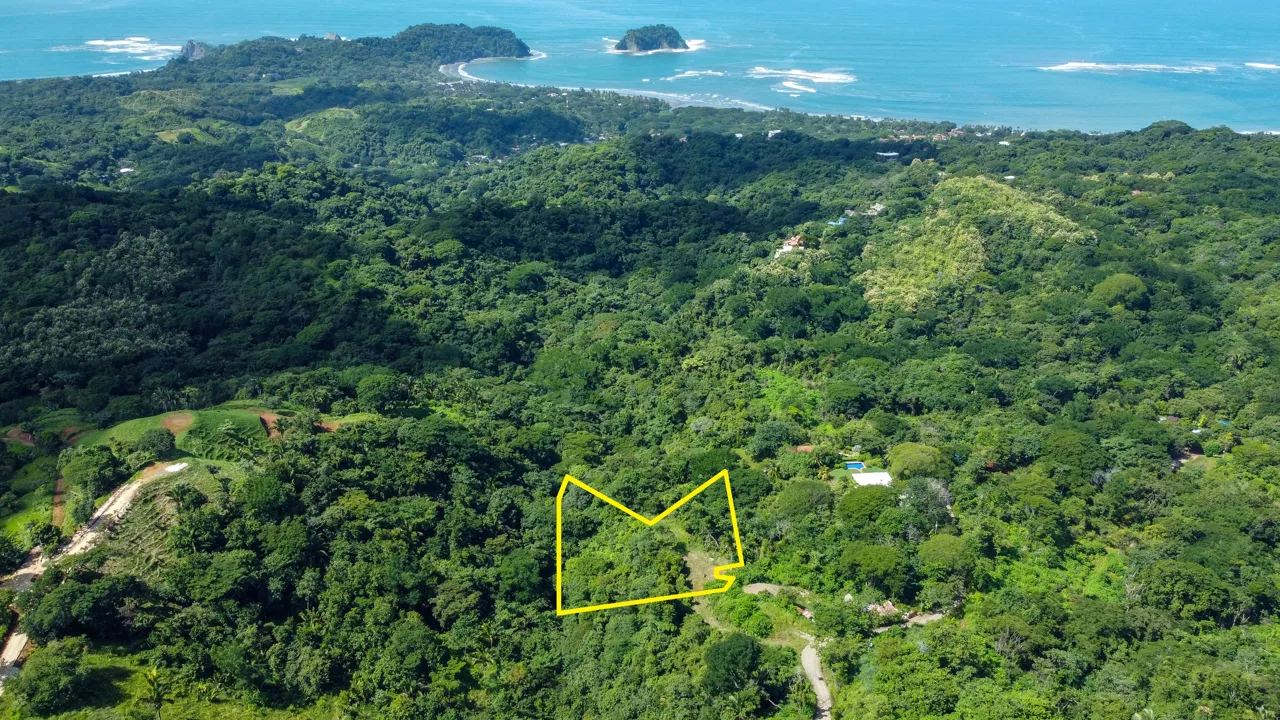 Lotes Santo Domingo - Stunning Ocean View Jungle Lots starting at $140,000, photo 5