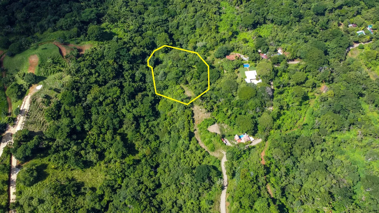 Lotes Santo Domingo - Stunning Ocean View Jungle Lots starting at $140,000, photo 6