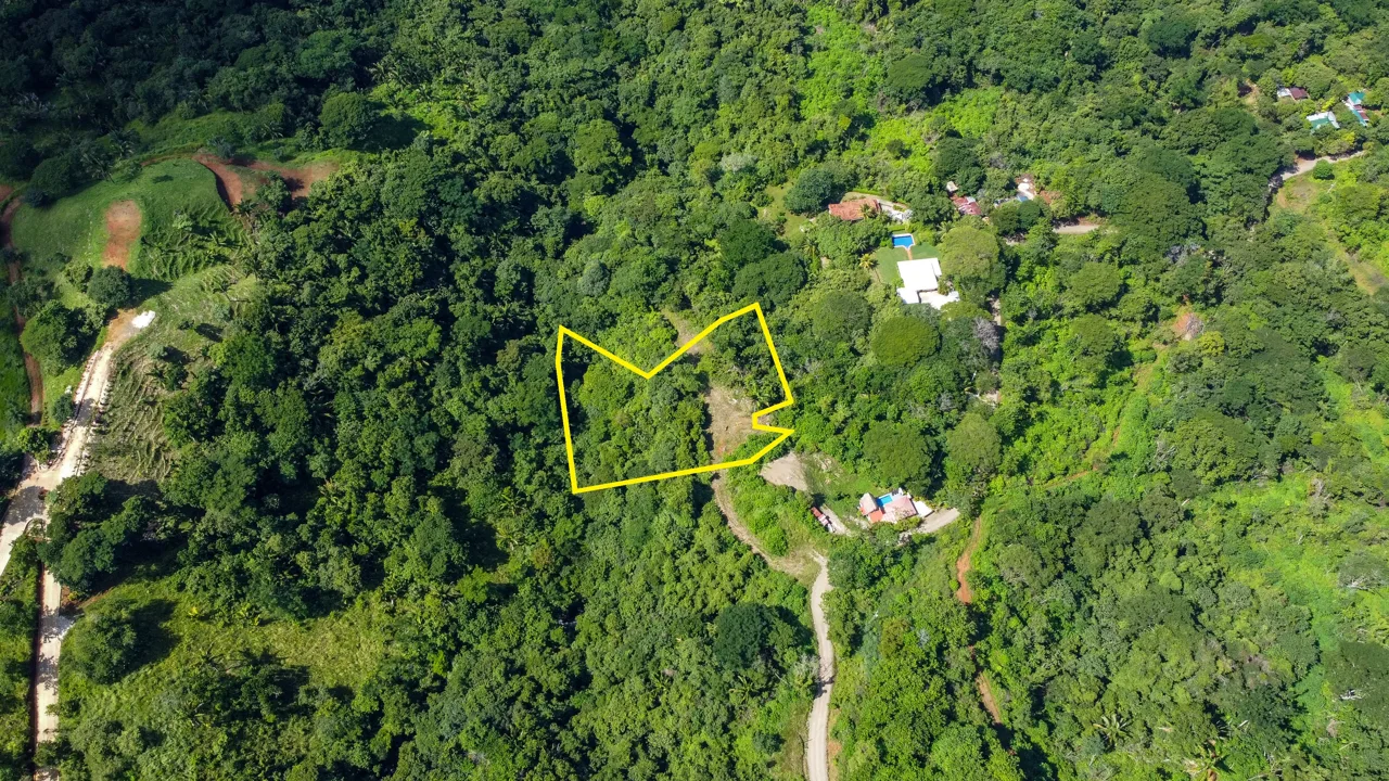 Lotes Santo Domingo - Stunning Ocean View Jungle Lots starting at $140,000, photo 7