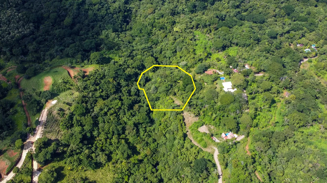Lotes Santo Domingo - Stunning Ocean View Jungle Lots starting at $140,000, photo 10