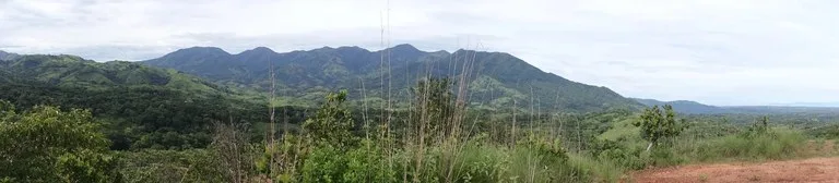 Agricultural Land For Sale in Turrubares, photo 11