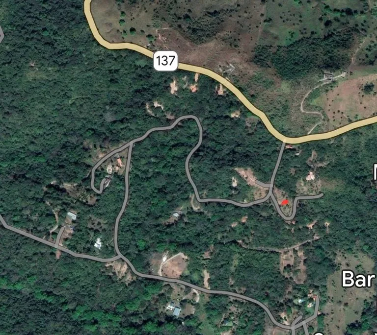 Agricultural Land For Sale in Turrubares, photo 6