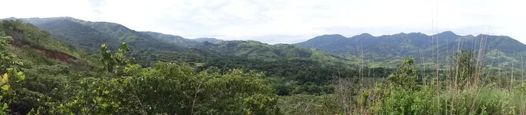 Agricultural Land For Sale in Turrubares, photo 10