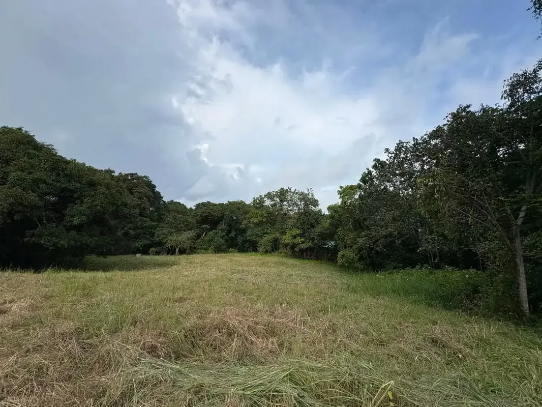 This lot is located just minutes from Montezuma and with excellent access to Cabuya, Playa Carmen, and Santa Teresa and ...