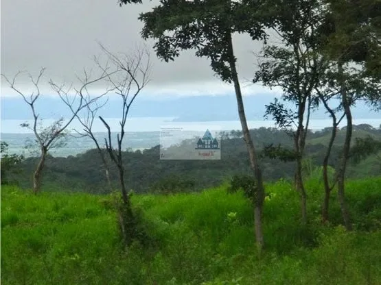 LAND FOR SALE, IN POINTARENAS. 36-286-77