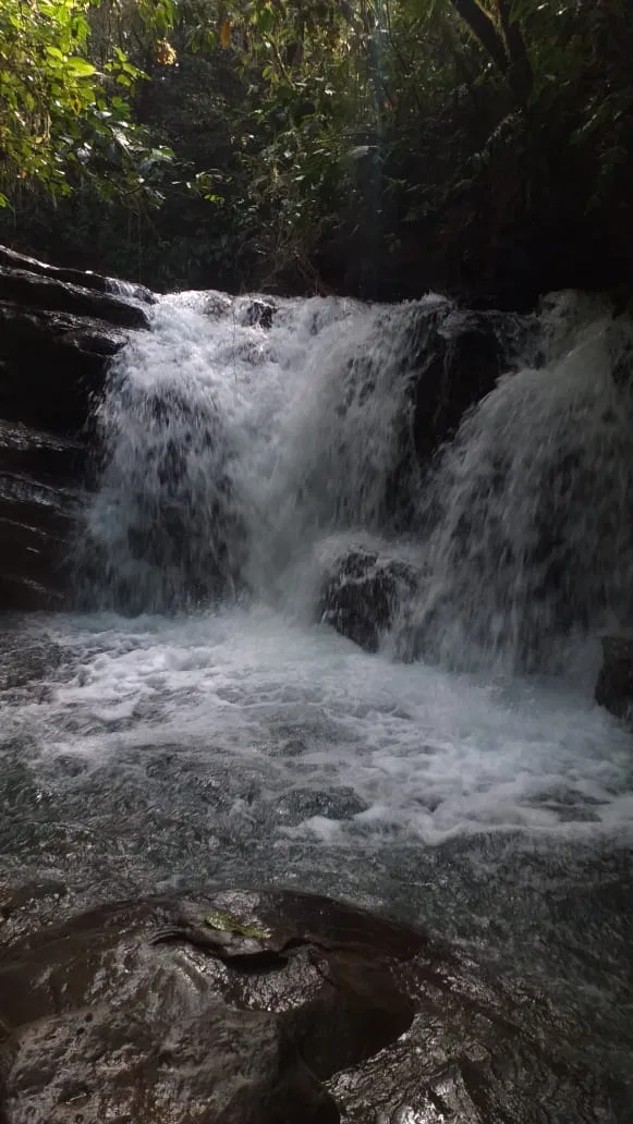 17 ACRES PROPERTY WITH WATERFALL ACCESS