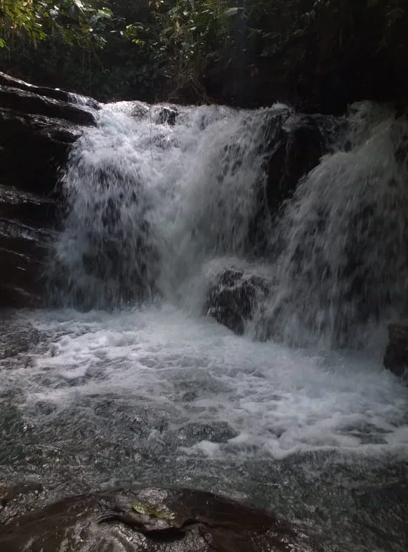 17 ACRES PROPERTY WITH WATERFALL ACCESS, photo 2