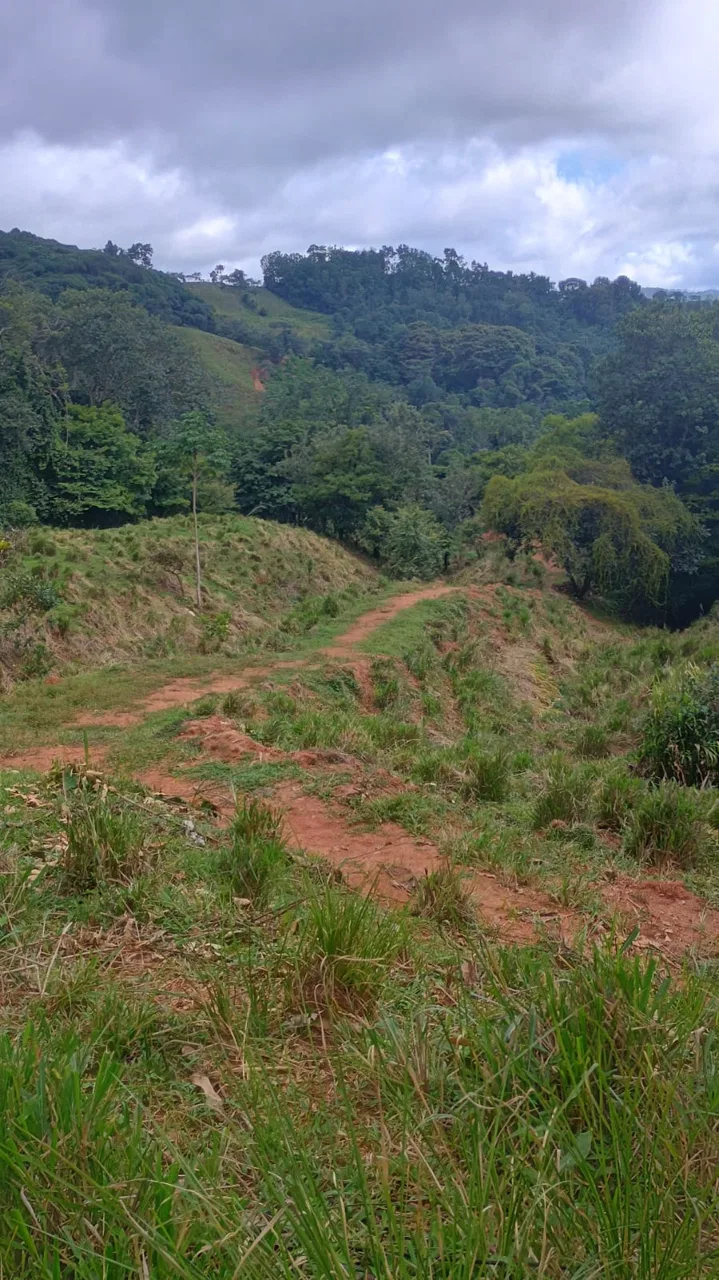 17 ACRES PROPERTY WITH WATERFALL ACCESS, photo 3