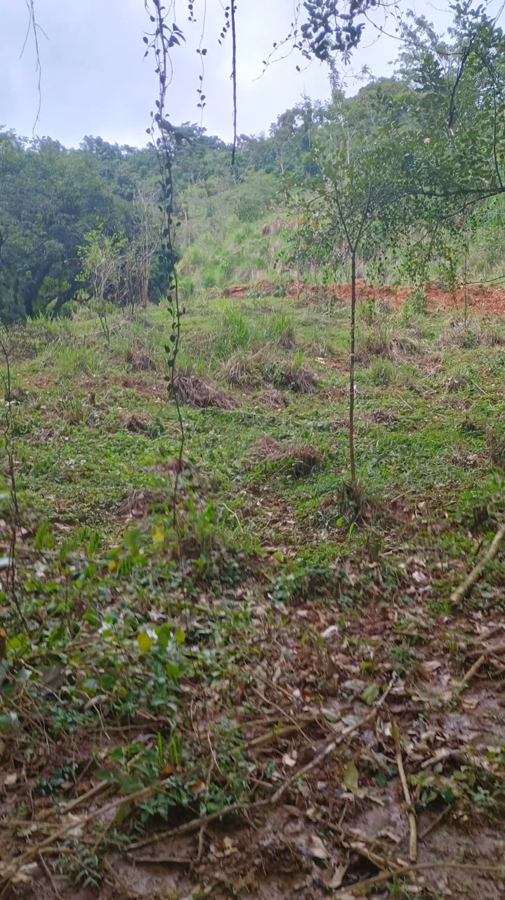17 ACRES PROPERTY WITH WATERFALL ACCESS, photo 7