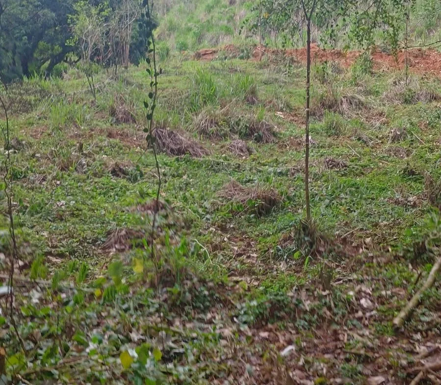 17 ACRES PROPERTY WITH WATERFALL ACCESS, photo 8