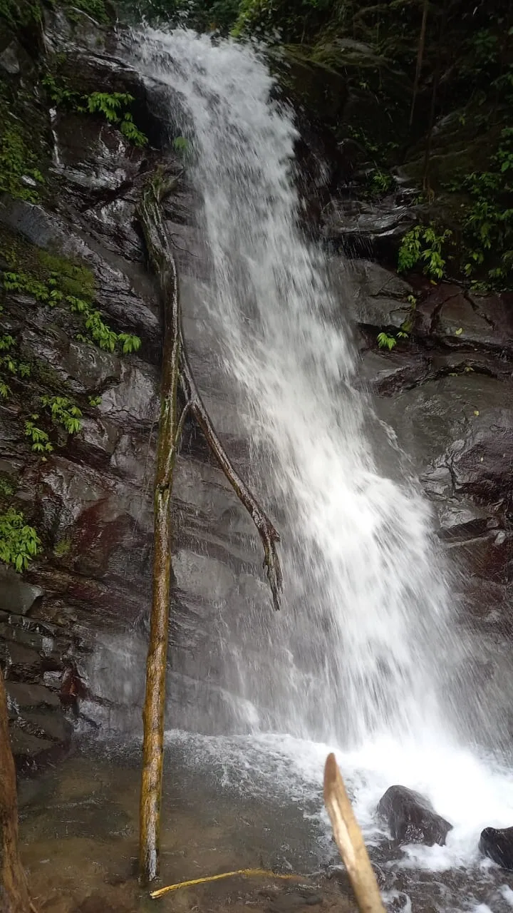17 ACRES PROPERTY WITH WATERFALL ACCESS, photo 9