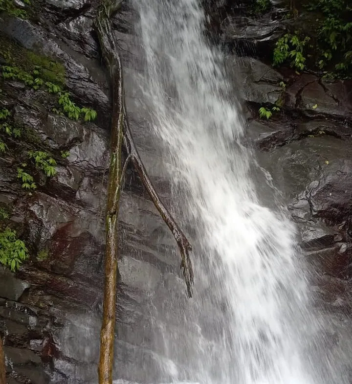 17 ACRES PROPERTY WITH WATERFALL ACCESS, photo 10