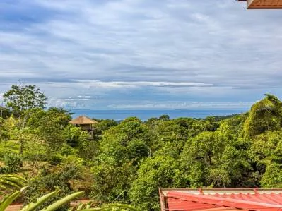 TWO FLOOR PROPERTY WITH TWO BEDROOM AND OCEAN VIEWS, IN SAN JOSECITO – 2.2 ACRES, photo 29