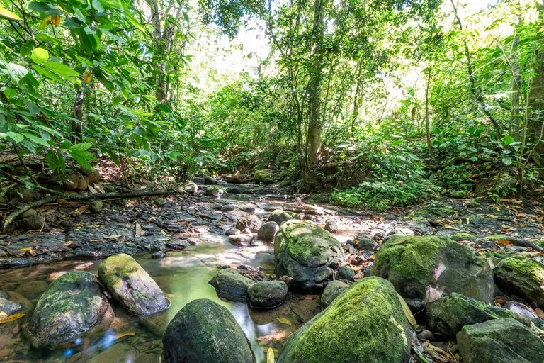Surfers Paradise! Two Usable Lots for Building in Playa Hermosa Near Uvita!!: Mountain Home Construction Site For Sale in Playa Hermosa, photo 3
