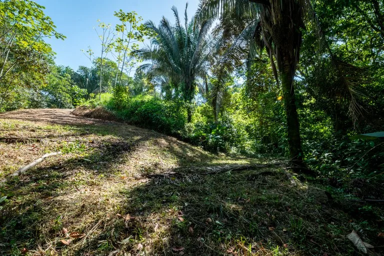 Surfers Paradise! Two Usable Lots for Building in Playa Hermosa Near Uvita!!: Mountain Home Construction Site For Sale in Playa Hermosa, photo 4
