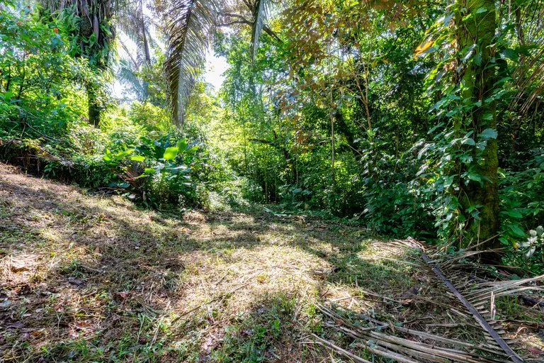 Surfers Paradise! Two Usable Lots for Building in Playa Hermosa Near Uvita!!: Mountain Home Construction Site For Sale in Playa Hermosa, photo 5