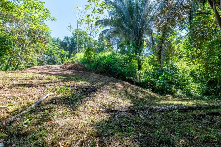 Surfers Paradise! Two Usable Lots for Building in Playa Hermosa Near Uvita!!: Mountain Home Construction Site For Sale in Playa Hermosa, photo 6