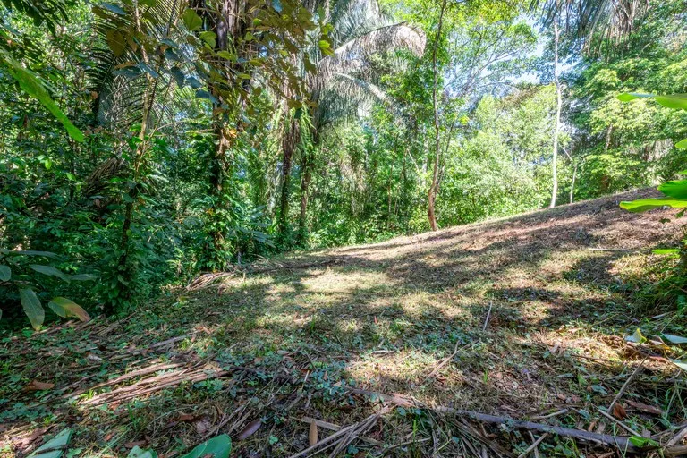 Surfers Paradise! Two Usable Lots for Building in Playa Hermosa Near Uvita!!: Mountain Home Construction Site For Sale in Playa Hermosa, photo 7