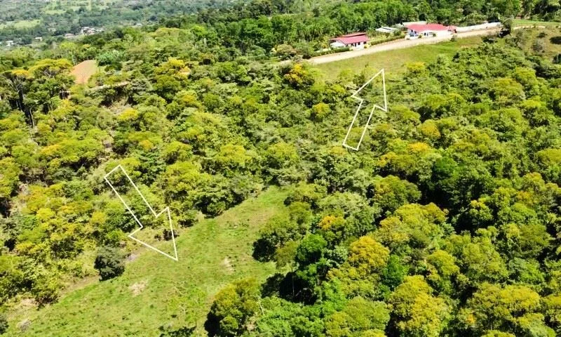 Stunning Land for Sale in La Linda Arriba, General Viejo, Costa Rica – Nature, Privacy, and Potential, photo 13