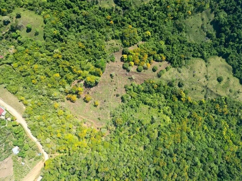 Stunning Land for Sale in La Linda Arriba, General Viejo, Costa Rica – Nature, Privacy, and Potential, photo 15