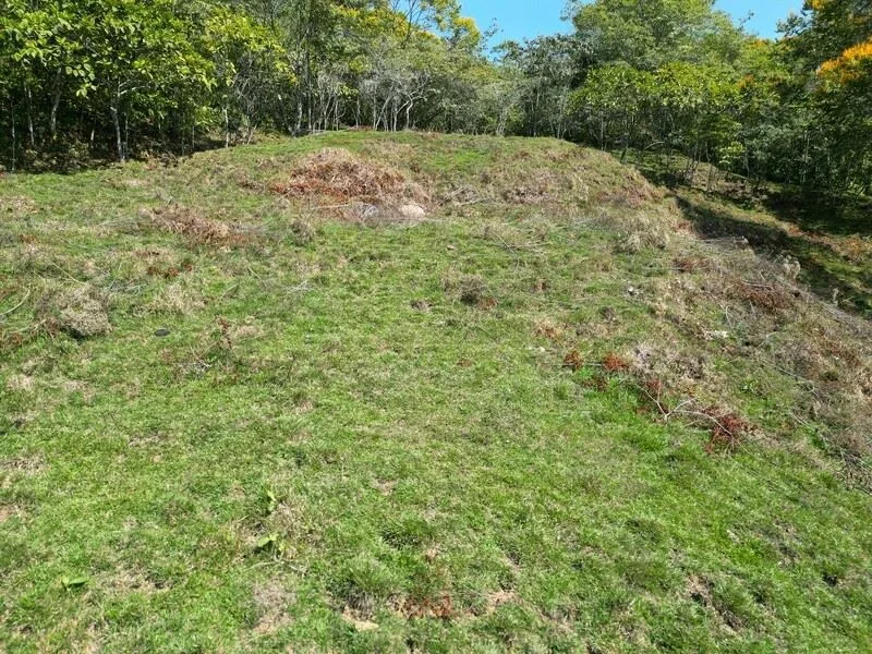 Stunning Land for Sale in La Linda Arriba, General Viejo, Costa Rica – Nature, Privacy, and Potential, photo 7