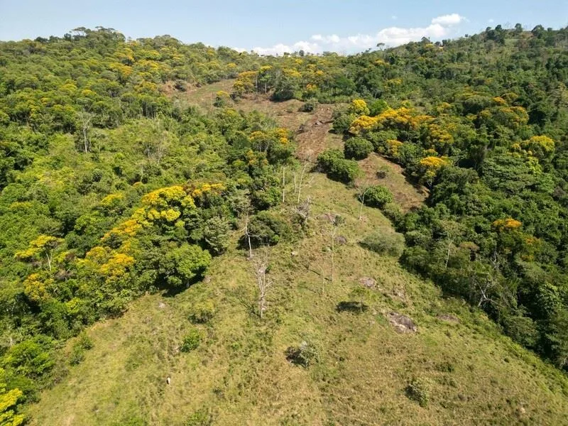 Stunning Land for Sale in La Linda Arriba, General Viejo, Costa Rica – Nature, Privacy, and Potential, photo 9