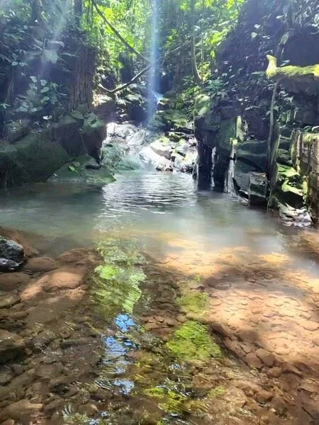 Stunning Land for Sale in La Linda Arriba, General Viejo, Costa Rica – Nature, Privacy, and Potential, photo 10